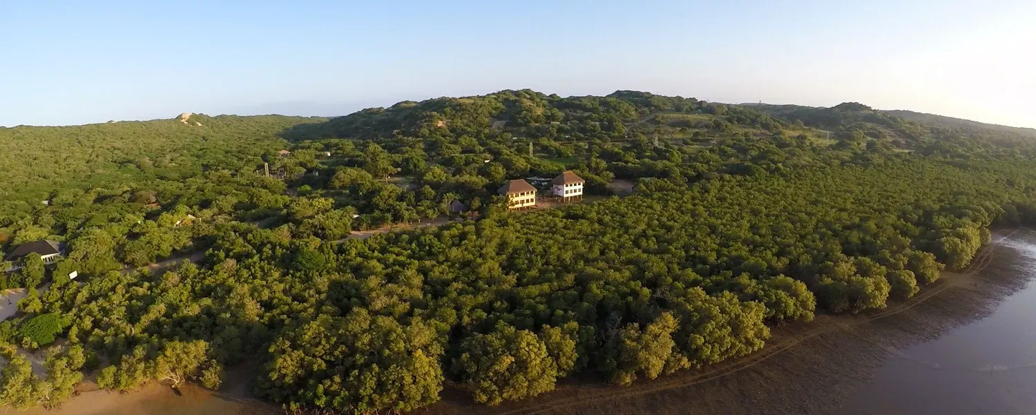 Aerial view of the property