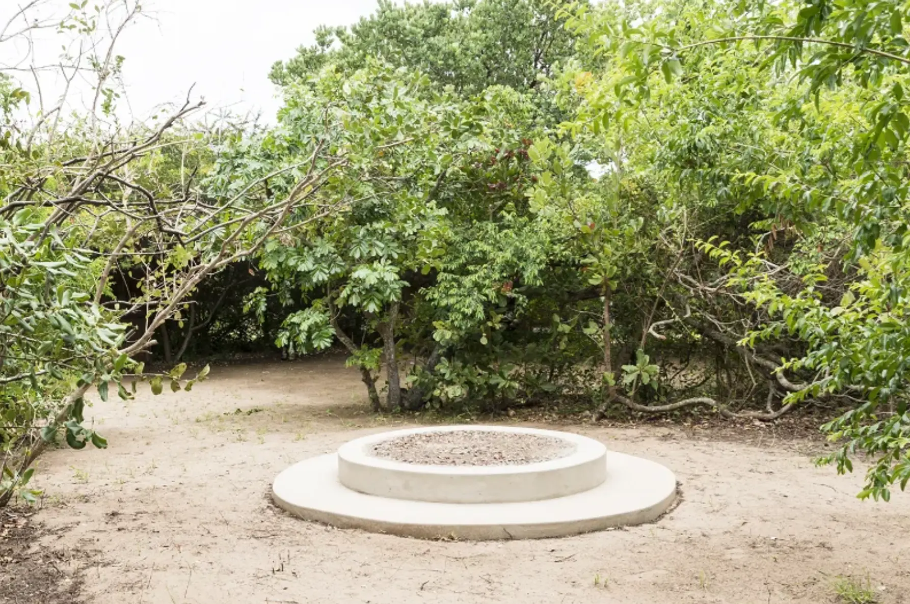 Circular concrete fire pit surrounded by coastal trees