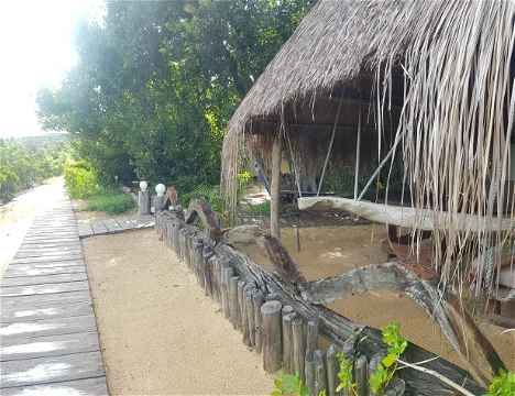 Walkway to the house through the gardens