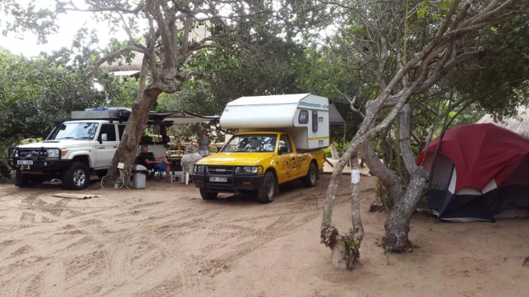 Vehicles, camper and tent set up under shady trees on a sandy campsite